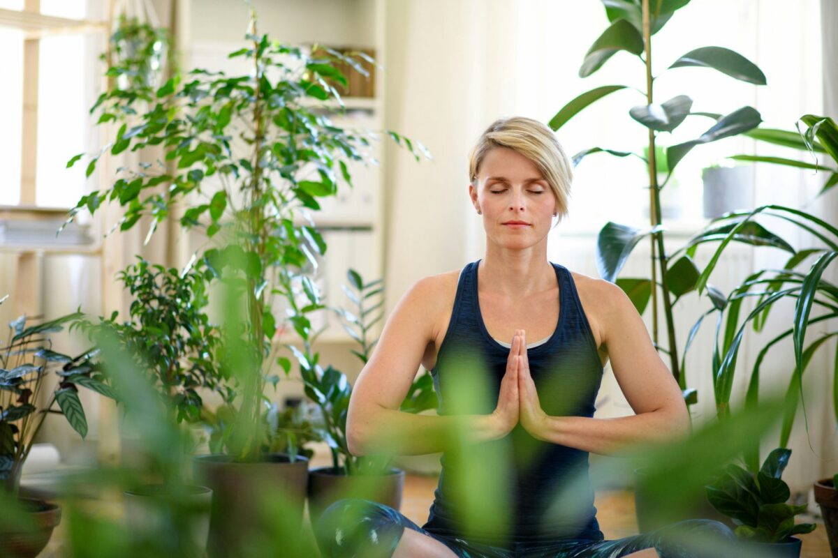 Ashwagandha for Stress
